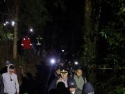 Polres Gowa Amankan Lokasi Ilegal Logging, Kapolres dan Wakil Bupati Tinjau Kondisi Lapangan