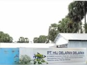 Segel Gudang PT. Hiu Delapan-Delapan DI Takalar: Diduga Produksi Sirip Hiu Dan Penyu – Satwa Dilindungi Yang Berbahaya Dan Melanggar undang undang