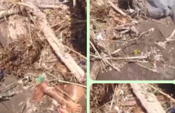 Mayat Misterius Tersangkut Material Sungai Gung Lebaksiu, Warga Kajen Heboh