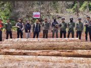 Gakkum dan KPH Angkona Gagalkan Peredaran Kayu Ilegal di Luwu Timur, Ratusan Batang Diamankan