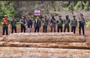 Gakkum dan KPH Angkona Gagalkan Peredaran Kayu Ilegal di Luwu Timur, Ratusan Batang Diamankan