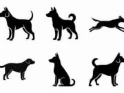 Warga Protes soal Pemeliharaan Puluhan Anjing Di Wilayahnya