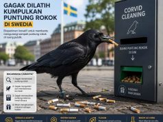 Swedia Uji Cara Tak Biasa, Gagak Diberi Tugas Kumpulkan Puntung Rokok.