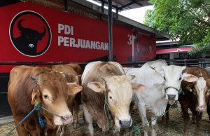 Tebar 45 Ekor Sapi Kurban, Ridwan Wittiri: Idul Adha Momentum Perkuat Solidaritas dan Kemanusiaan