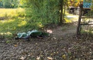 Ngeri! Pedagang Ikan Tewas Bersimbah Darah Ditebas Parang, Motif Kelam Masalah Rumah Tangga Terkuak, Ini ulasannya
