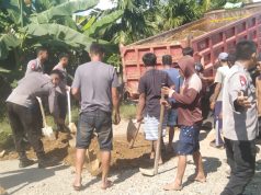 Gotong Royong Warga Labokke Bersama Brimob Polda Sulsel Tutup Jalan Rusak Penghubung Toraja-Luwu