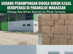 Gudang Penampungan Diduga Rokok Ilegal Beroperasi di Parangloe Makassar, Diduga Ada Aliran Setoran ke Pihak Tertentu