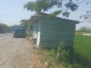 LPKSM-YKM Pemalang Soroti Dugaan Praktik Jual-Beli Lapak Ilegal di Atas Lahan Negara Jalur Pantura