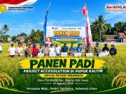 Panen Agrosolution Di Gowa, Kolaborasi PKT (Pupuk Kalimantan Timur) dan Petani Perkuat Produktivitas Pertanian